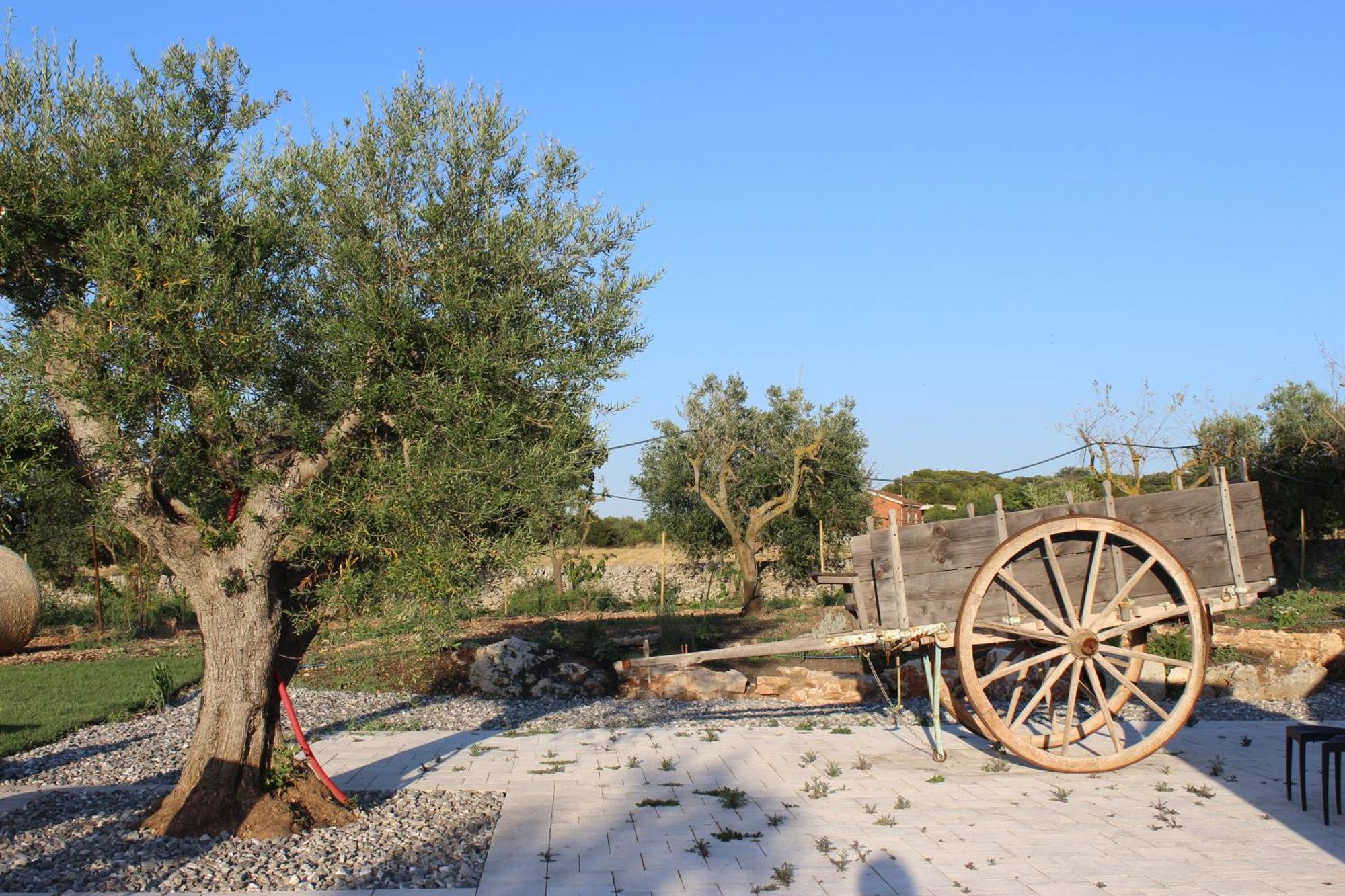 Masseria Stella Gioia Del Colle Exterior foto